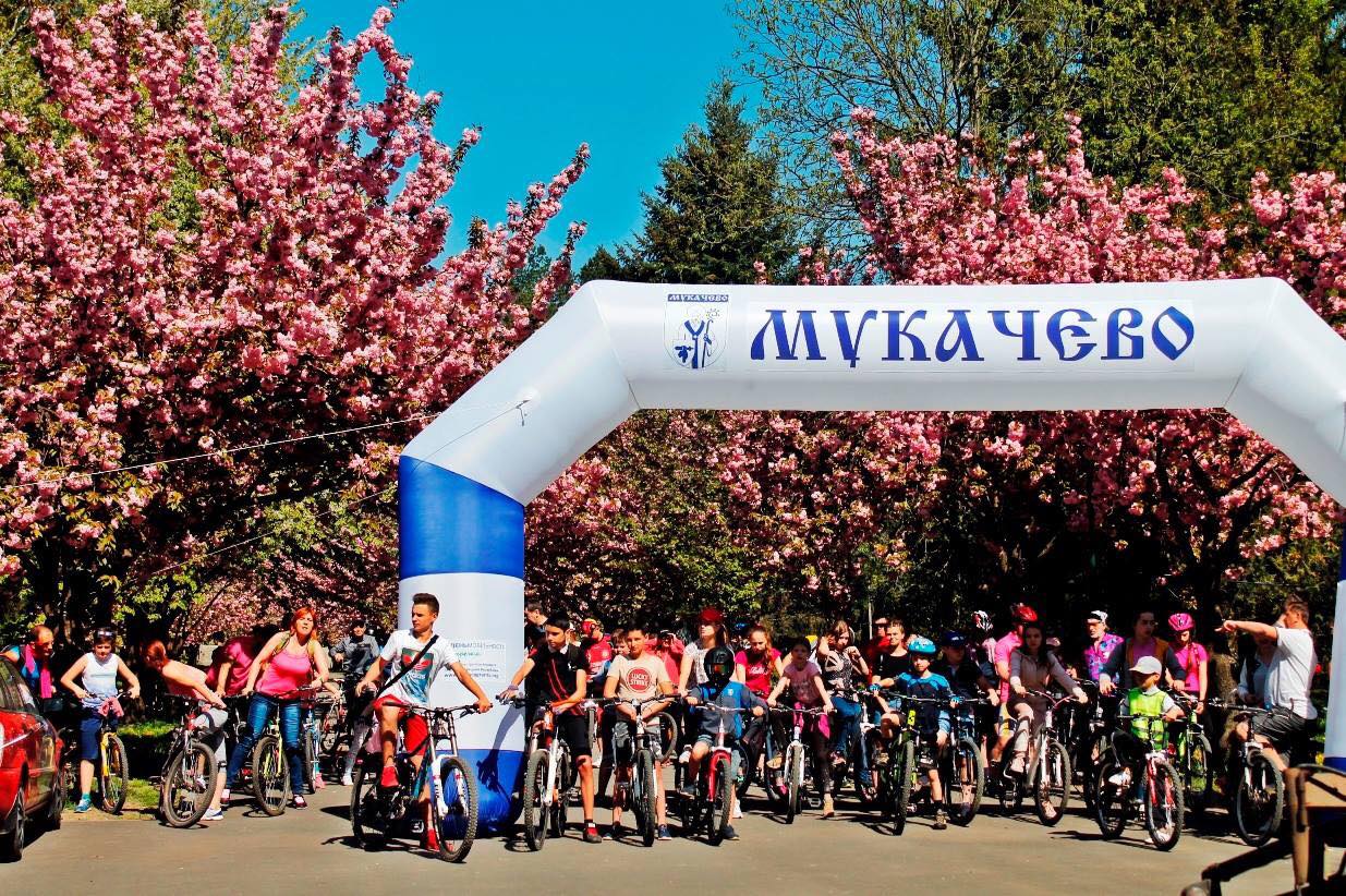 20 квітня у Мукачеві відбудеться велозаїзд по «сакуровим» вулицям міста. 
