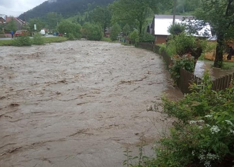 Сегодня, 23 июня, уровень воды в реке Теребле вследствие продолжительных осадков значительно повысился