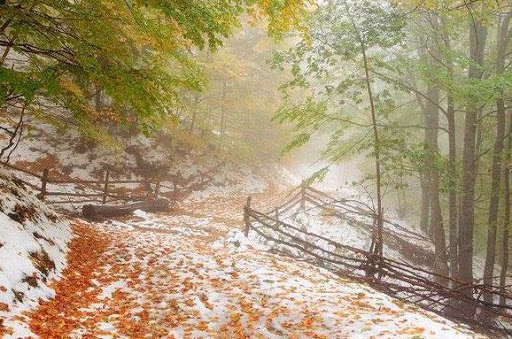 Прогноз погоды в Закарпатье: облачно, временами дождь, в горах местами мокрый снег и снег