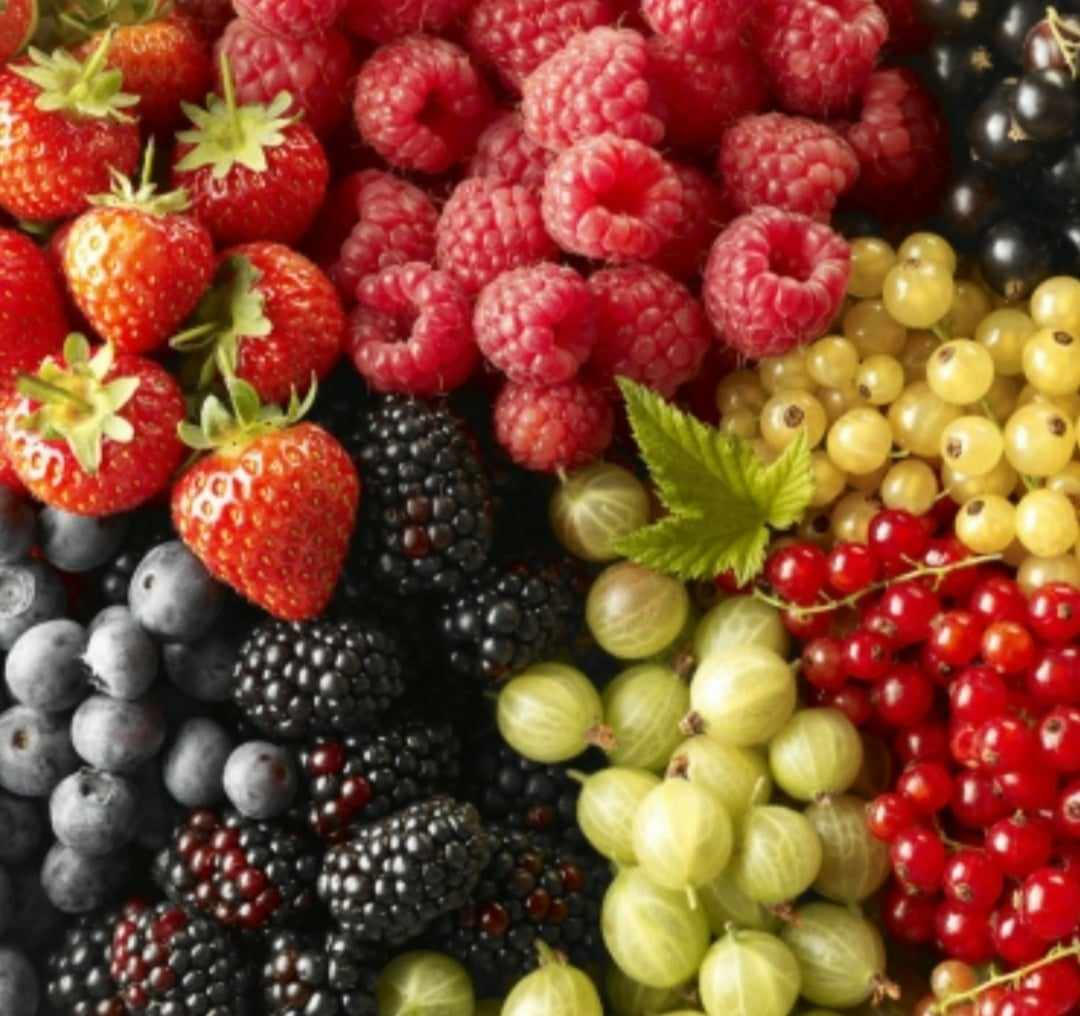"Удар нижче пояса": яку найдорожчу ягоду в Україні везли до столиці із Закарпаття?