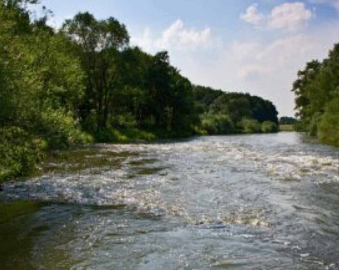 Жителі регіону дедалі частіше бояться купатись в річках.

