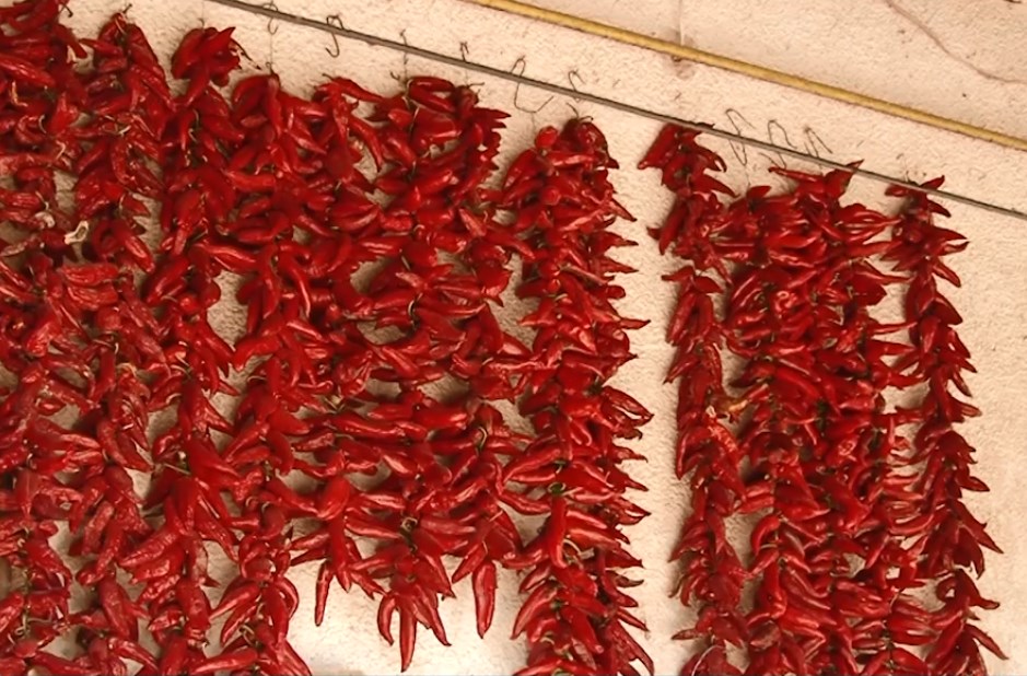 Вирощують солодкий та гіркий перець у Великій Доброні на Ужгородщині майже в кожному дворогосподарстві. 