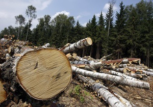 Благодаря прокуратуре Воловецкого района в сельский бюджет возмещено свыше 60 тыс грн ущерба причиненного самовольными рубками деревьев.
