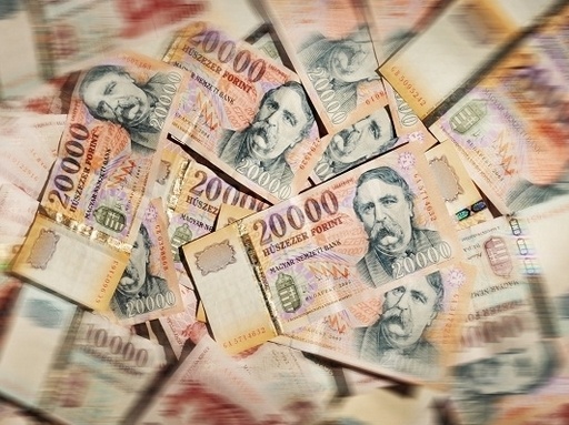 Дільничні офіцери Іршавського відділення поліції встановили крадія грошей з помешкання пенсіонерів у селі Білки. За даним фактом розпочали розслідування.
