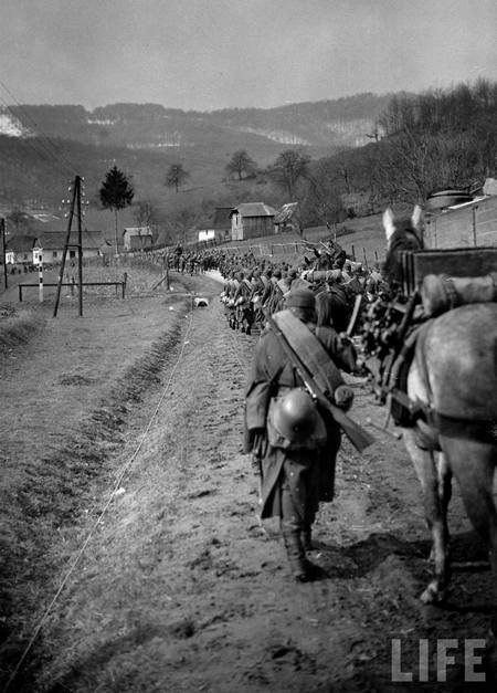 14 березня 1939 року у Карпатську Україну вторглася 40-тисячна угорська армія.

