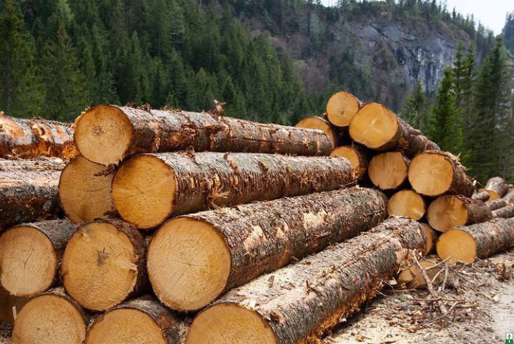 З 25 листопада Уряд заборонив експорт паливної деревини.