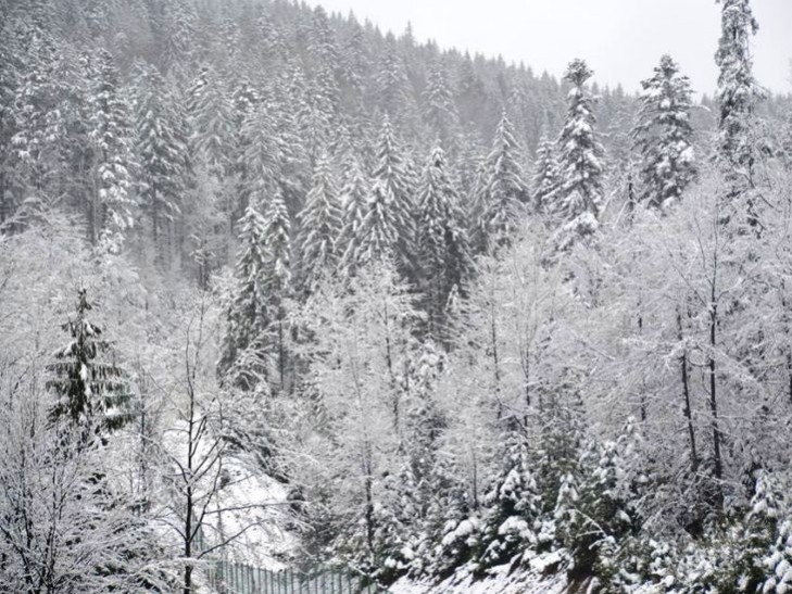 Закарпатський обласний центр з гідрометеорології інформує, що 02 грудня 2016 року