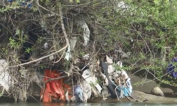 В селищі Дубове на берегах річки Тересва облаштовано чимало стихійних сміттєзвалищ.