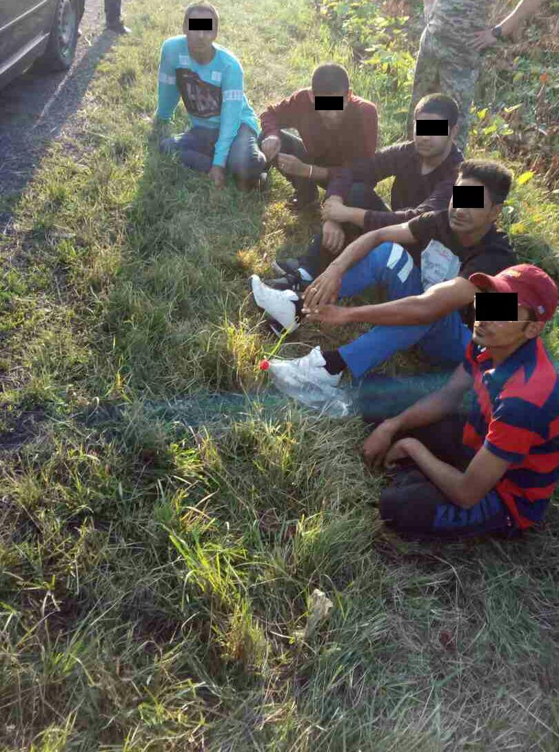 На Берегівщині було припинено спробу незаконного переправлення через кордон групи нелегальних мігрантів з Індії.