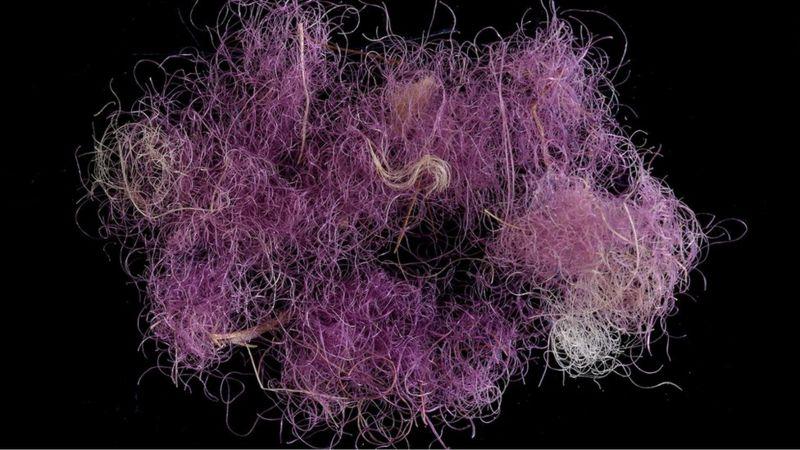 По словам специалиста по древним временам доктора Накама Сукеника, это самый ранний известный образец такой ткани на юге Леванта.