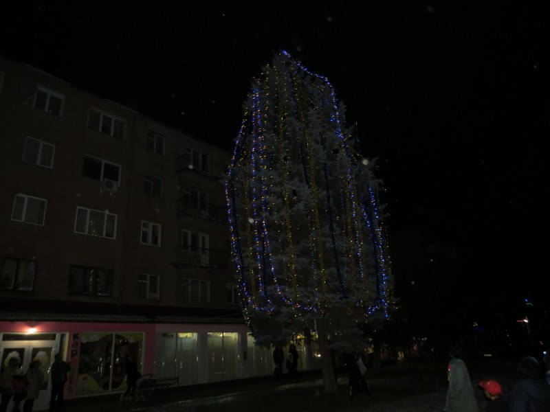 Впервые в Великом Березном засияли две новогодние елки : одна – от районной власти, другая – выбрана и одета празднично инициативными гражданами. 