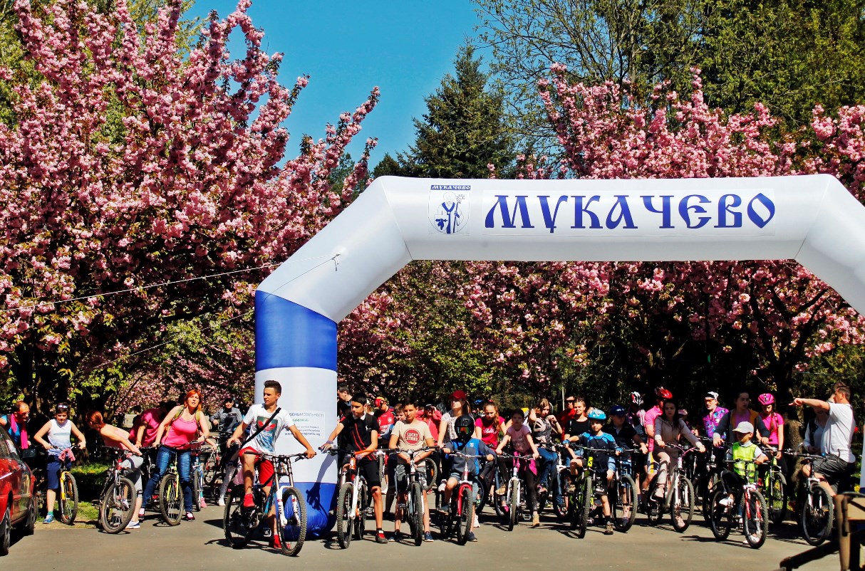 Мукачево організувало велозаїзд вулицями міста, де ростуть сакури. Загальна протяжність маршруту становила 14 кілометрів.