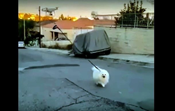 Господар на карантині вигуляв пса за допомогою дрона (ВІДЕО)