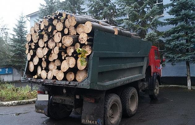 47-річний водій вантажівки перевозив деревину, бірки на яку не пройшли перевірки.