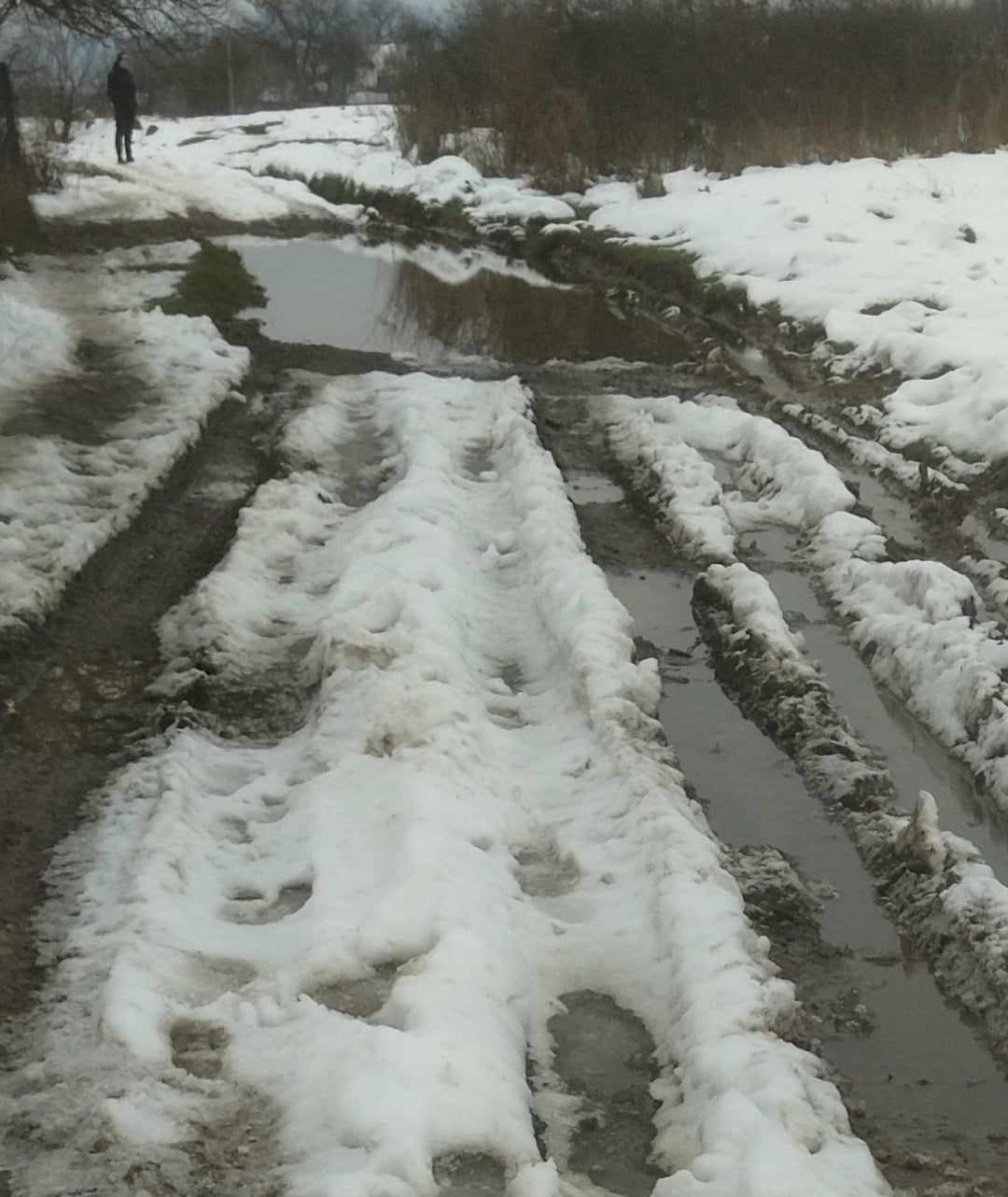 Людей затягує прямо в болото: на Закарпатті люди знову у пастці на "чорних озерах" (ФОТО)