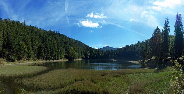 Закарпатская областная государственная администрация одобрила расширение территории трех национальных природных парков – «Синевир», «Зачарованный край» и Ужанского.