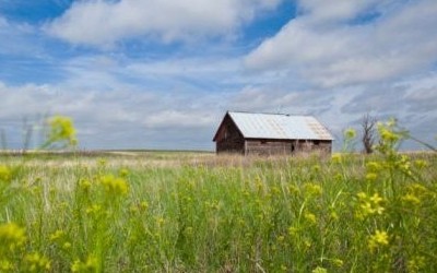 Прокуратура повернула у власність держави земельні ділянки на Рахівщині