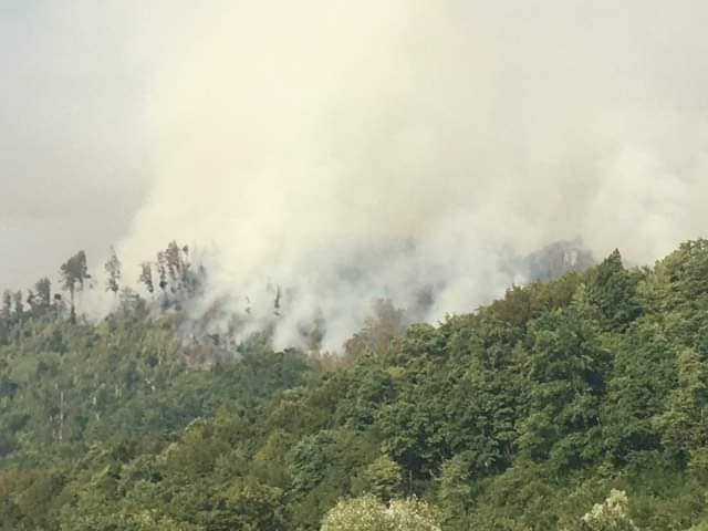 На Закарпатті продовжує вирувати масштабна пожежа у лісі.