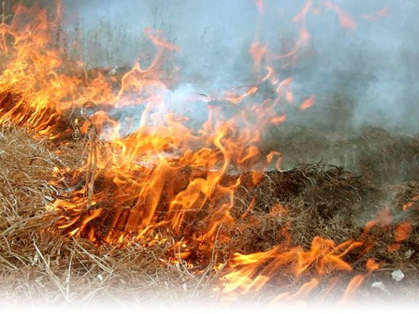 14-16 вересня очікується висока пожежна небезпека в області.