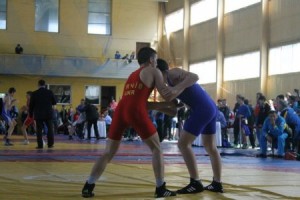 В Мукачево соревновались 310 греко-римских борцов