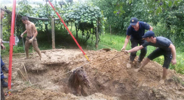 16 липня працівники ДСНС проводили рятувальну операцію на вулиці Борканюка у селі Букове, що у Виноградівському районі.

