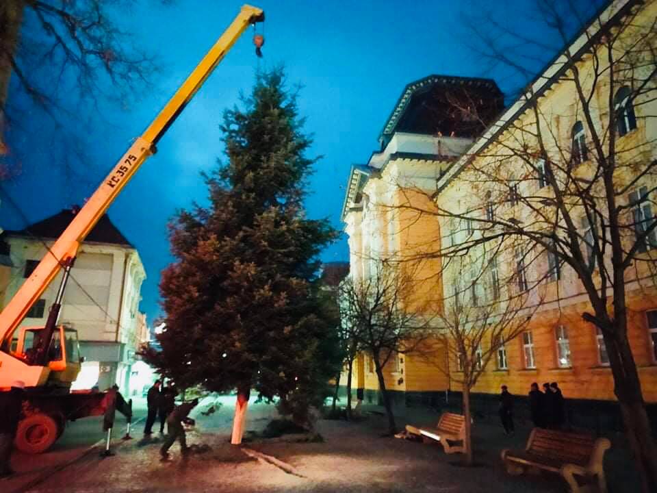 Началась установка праздничной елки на центральной площади Рерихов.