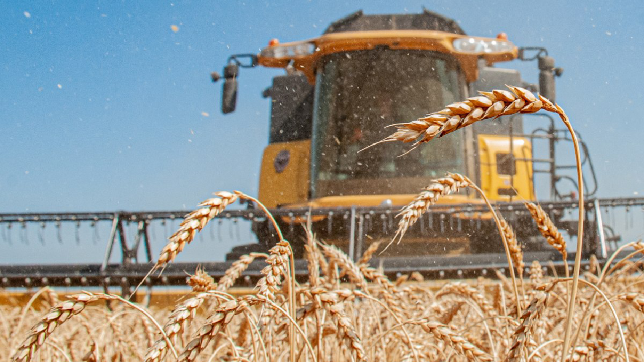 Заборона імпорту українського зерна: в Чехії зробили офіційну заяву