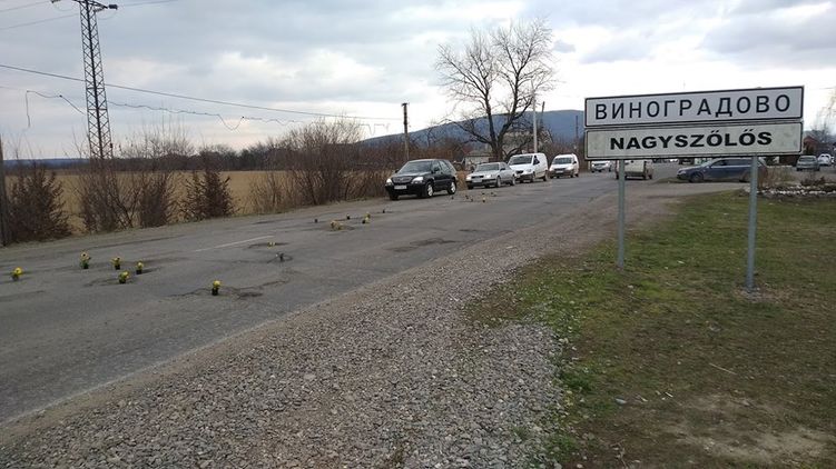 На Закарпатті до приїзду Президента України на дорогах у ямах встановили квіти в горшечках.