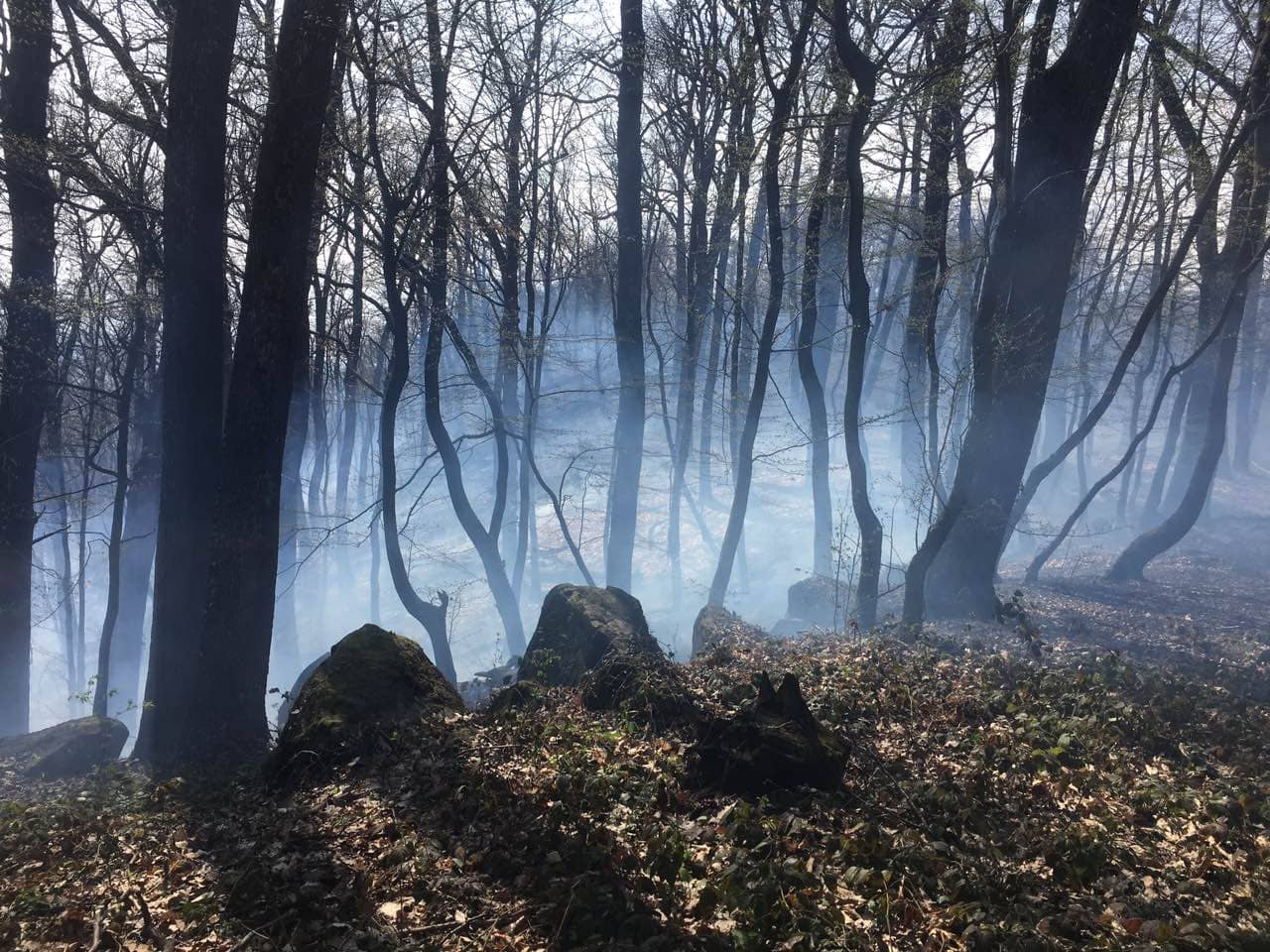 На Великоберезнянщині тричі горіла лісова підстилка, а в Ужгороді через спалювання сміття вогонь знищив металевий вагончик.