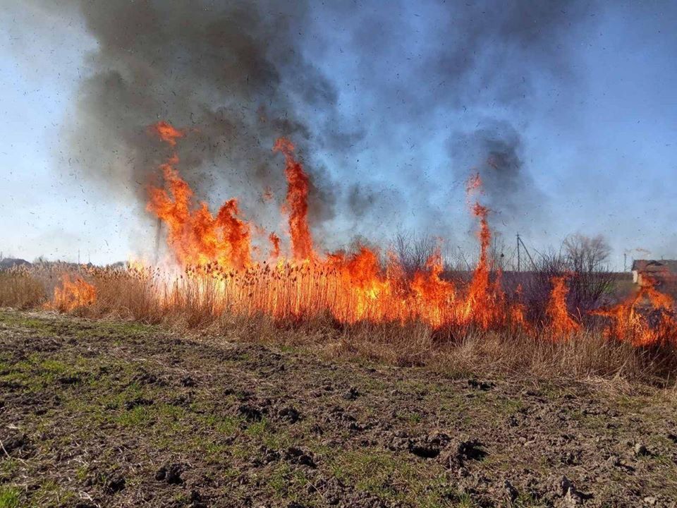 23 апреля в 17:50 в Службу спасения поступило сообщение о возгорание сухой травы на открытой территории в сек. Соловка, что на Ужгородщине.