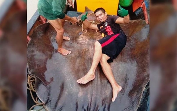 В малазийском штате Саравак рыбакам удалось выловить из реки пресноводного хвостокола размером четыре метра и весом в 280 килограммов.