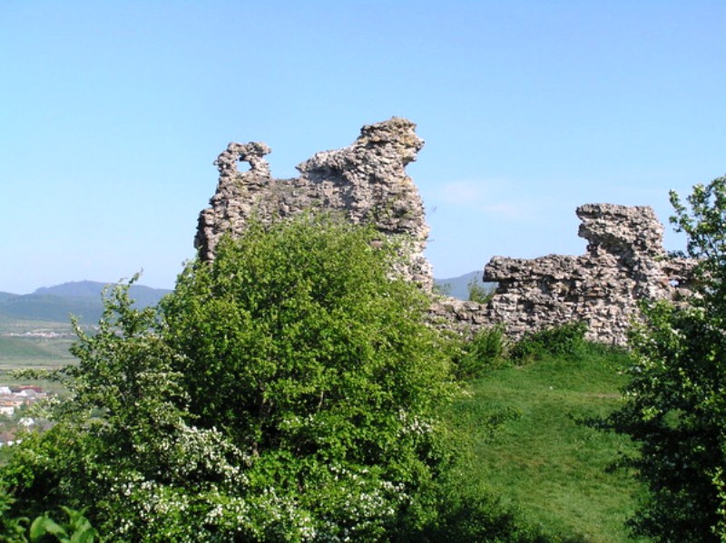 Замок Мінта є класичним зразком укріплення невеликого лицарського феода високого та пізнього середньовіччя і зазнав дурної слави.