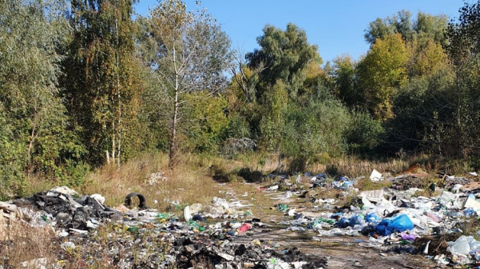 С начала года нарушители природоохранного законодательства нанесли более 2 млрд грн убытков окружающей среде Украины.