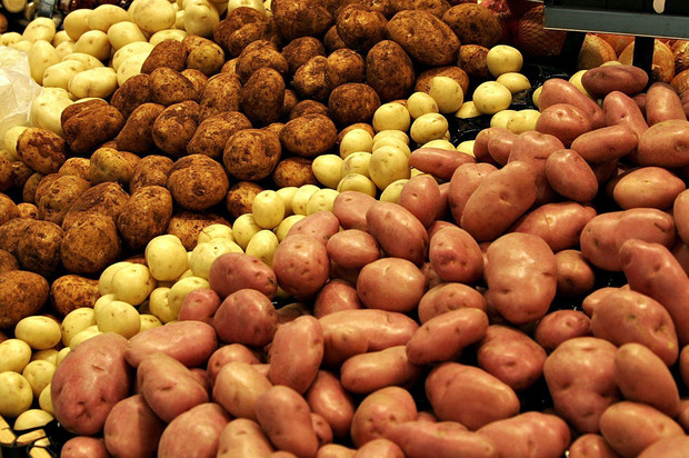 У 1770 р. відбулася офіційна поява картоплi на Закарпаттi. Було видiлено великі площi під картоплю.

