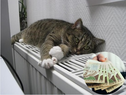 Для реалізації програми цьогоріч в обласному бюджеті передбачили 3 млн 700 тисяч грн.