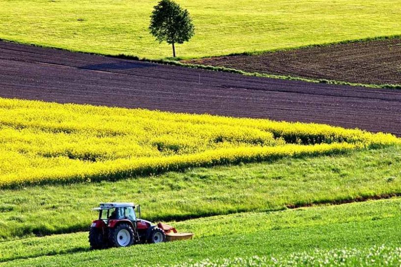 На Берегівщині прокуратура вимагає припинити незаконне використання 753 га сільськогосподарських земель.