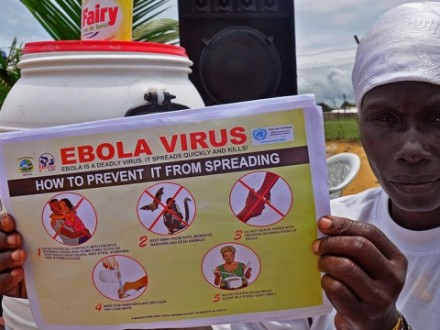 Кількість померлих від геморагічної лихоманки Ебола в усьому світі станом на 20 грудня, досягла 7373 осіб, а кількість тих, що заразилися збільшилася до 19 031 особи.
