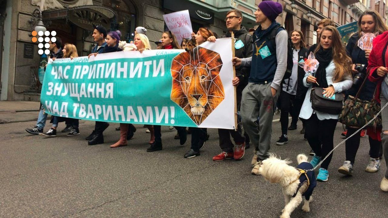 В неділю, 15 вересня о 12:00 в Ужгороді вже втретє за ініціативи руху UAnimals відбудеться Всеукраїнський марш за права тварин.