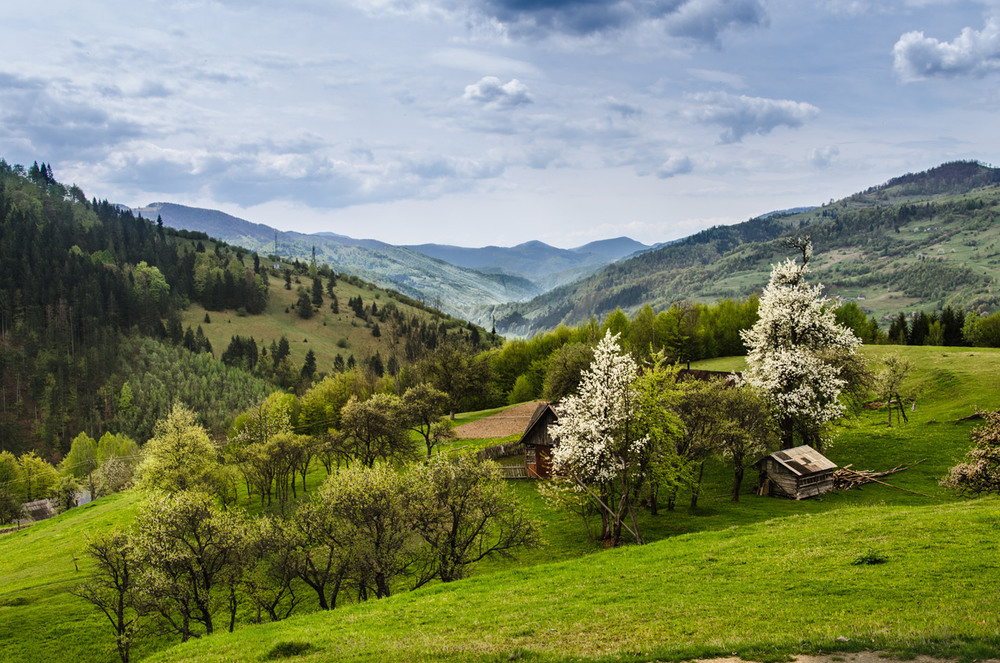 Закарпатський обласний центр з гідрометеорології інформує, що 15 квітня 2018 року

