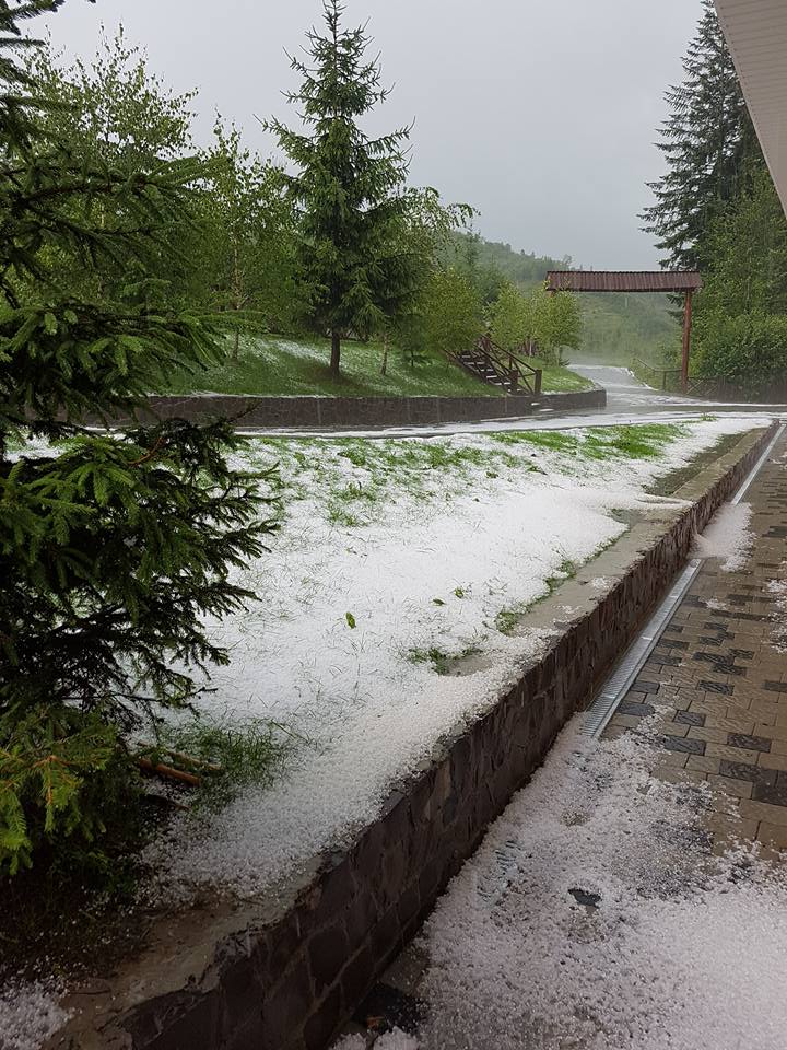 На Воловеччині Закарпатської області у розпал літа випав сніг.