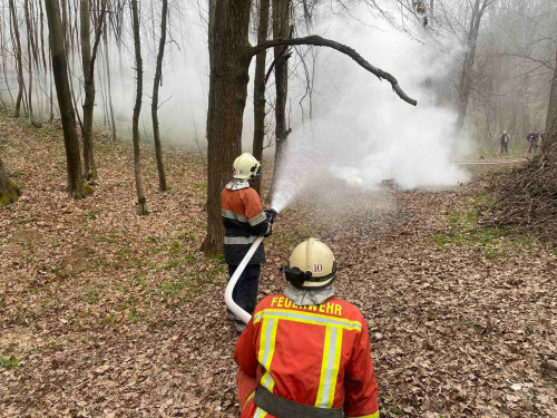 Хустские спасатели и лесники провели совместные учения по ликвидации пожара в лесу