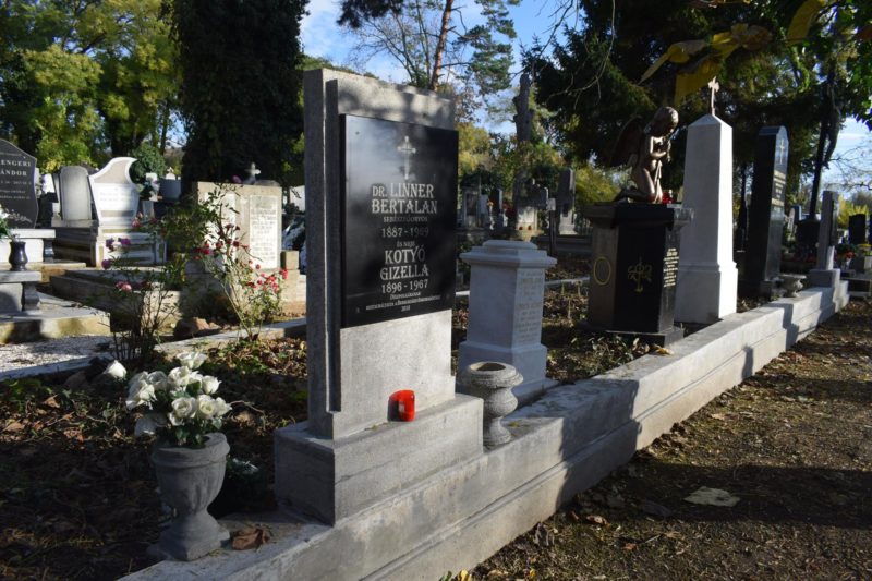 У Берегові до Дня пам’яті співробітники міської ради двічі проводили акцію з прибирання могил видатних берегівчан.