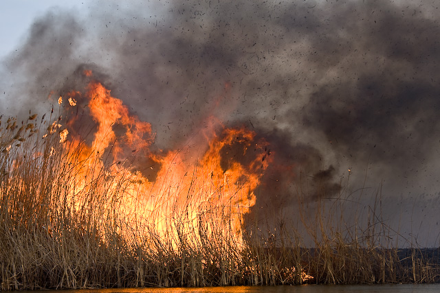 Головне управління ДСНС України у Закарпатській області поінформувало щодо обстановки з пожежами на територї краю