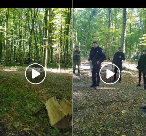 Офіційне пояснення щодо інциденту на території ДП «Берегівське лісове господарство». 