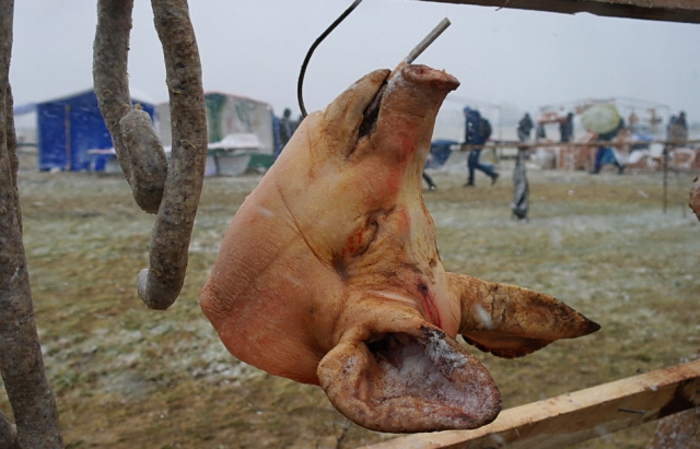 Украинцев приглашают на конкурс мясников свиней, который традиционно состоится в селе Геча, что на Береговщине.