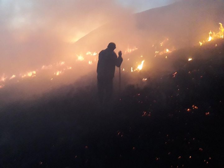 Более 100 человек и техники были задействованы в пресечении и ликвидации пожара на лугу.