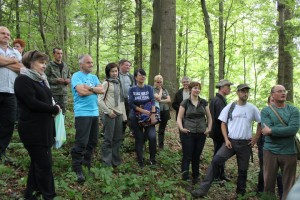 Проблеми лісових доріг закарпатські лісівники обговорили зі словаками