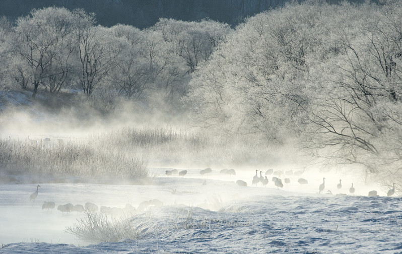 Вночі та вранці 28-го січня на більшій частині території Закарпатської області та по м.Ужгороді очікуються тумани з видимістю 200-500, подекуди 50-100 м.