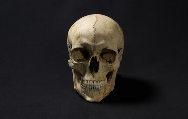Вчений судмедексперт відтворив зразкове зображення обличчя древньої людини за допомогою 3D-копії її черепа.