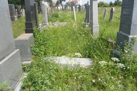 В Ужгороді на єврейському кладовищі на вул.Котляревського, що в мікрорайоні Шахта, невідомі зловмисники пошкодили 19 надгробних плит.  
